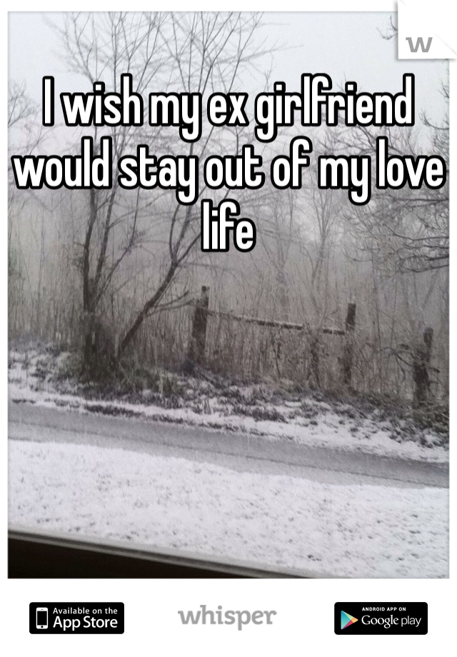 I wish my ex girlfriend would stay out of my love life