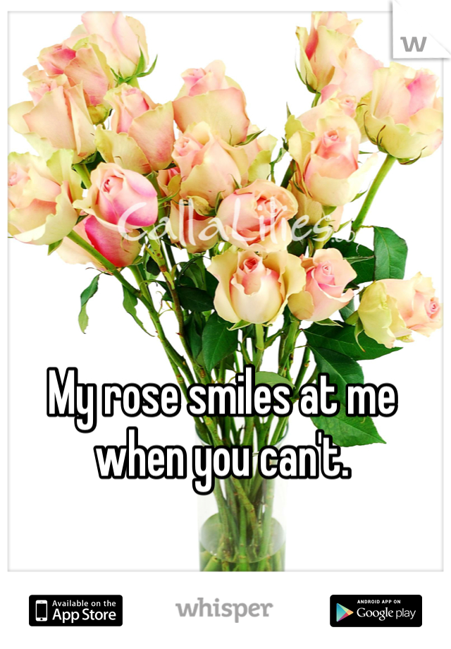 My rose smiles at me when you can't. 