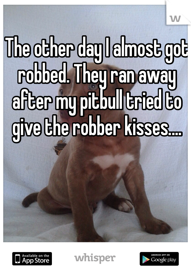 The other day I almost got robbed. They ran away after my pitbull tried to give the robber kisses.... 
