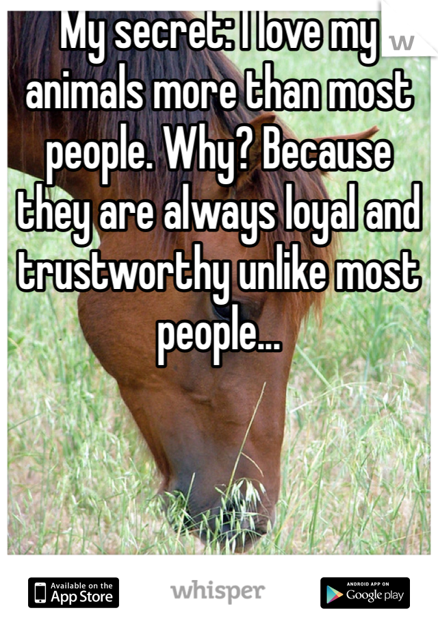 My secret: I love my animals more than most people. Why? Because they are always loyal and trustworthy unlike most people...