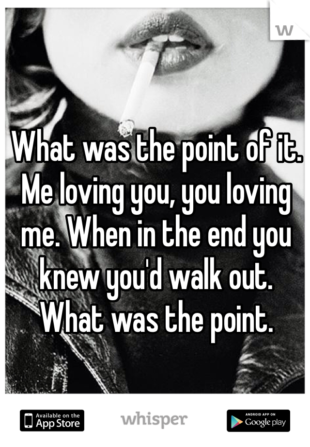 What was the point of it. Me loving you, you loving me. When in the end you knew you'd walk out. 
What was the point. 