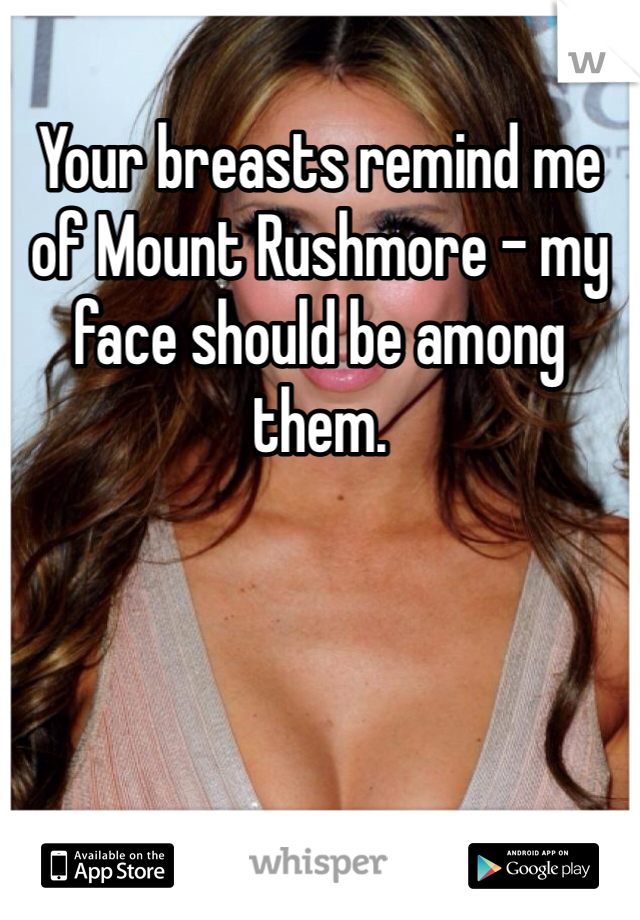 Your breasts remind me of Mount Rushmore - my face should be among them.
