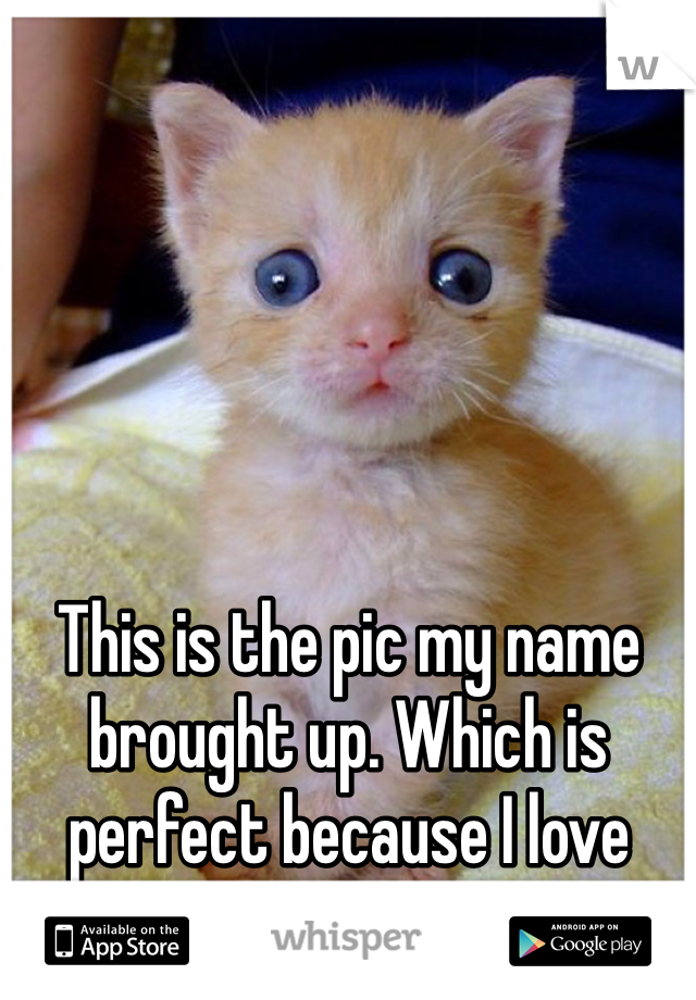 This is the pic my name brought up. Which is perfect because I love kitty's!!! :)