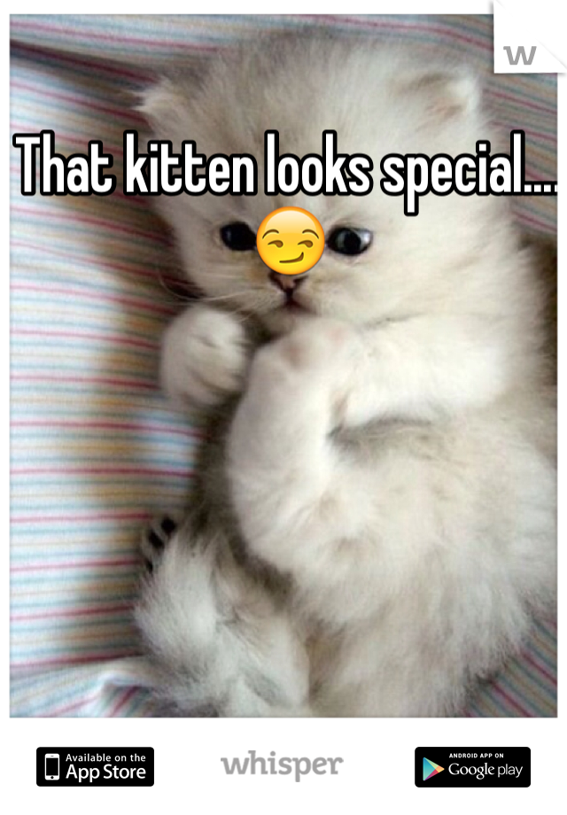 That kitten looks special.... 😏