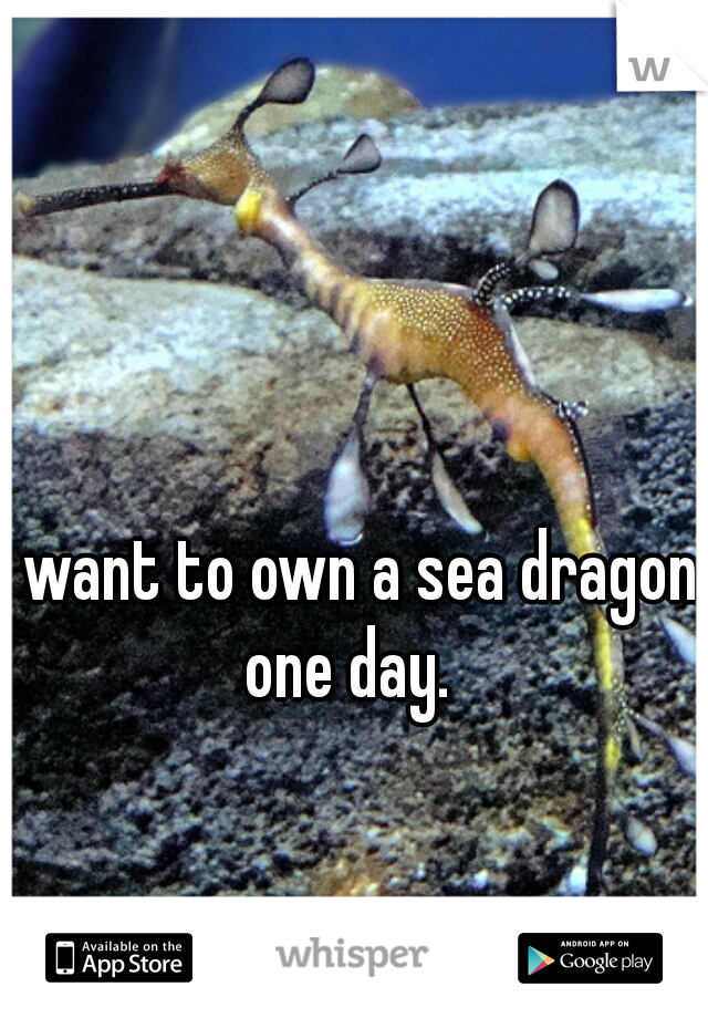 I want to own a sea dragon one day. 