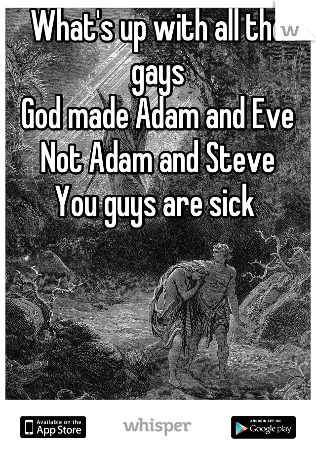 What's up with all the gays 
God made Adam and Eve 
Not Adam and Steve
You guys are sick 