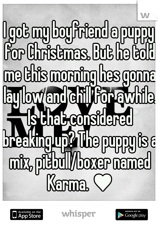I got my boyfriend a puppy for Christmas. But he told me this morning hes gonna lay low and chill for awhile. Is that considered breaking up? The puppy is a mix, pitbull/boxer named Karma. ♥