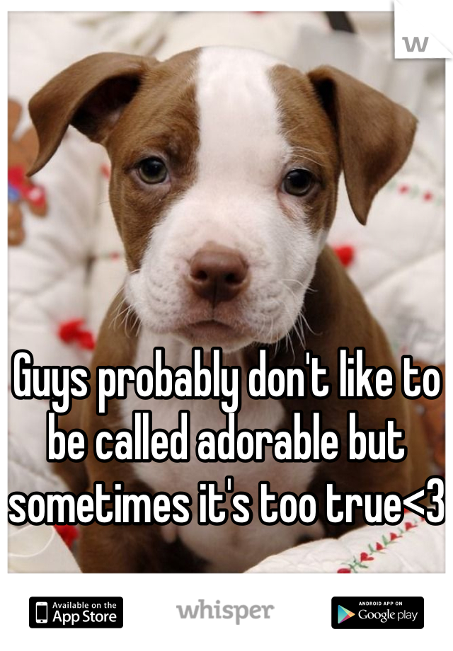 Guys probably don't like to be called adorable but sometimes it's too true<3