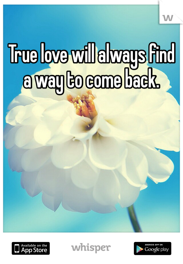 True love will always find a way to come back. 