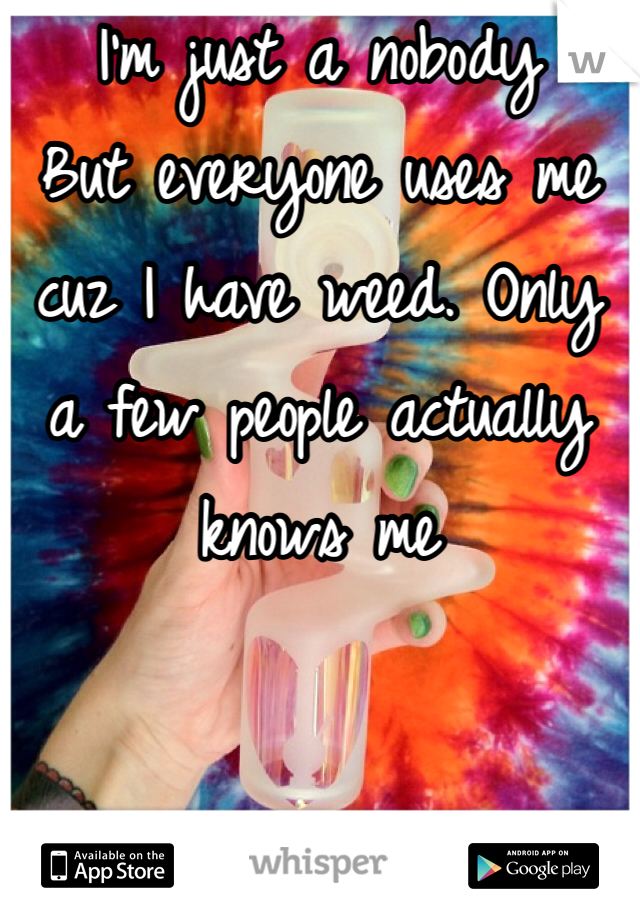 I'm just a nobody 
But everyone uses me cuz I have weed. Only a few people actually knows me