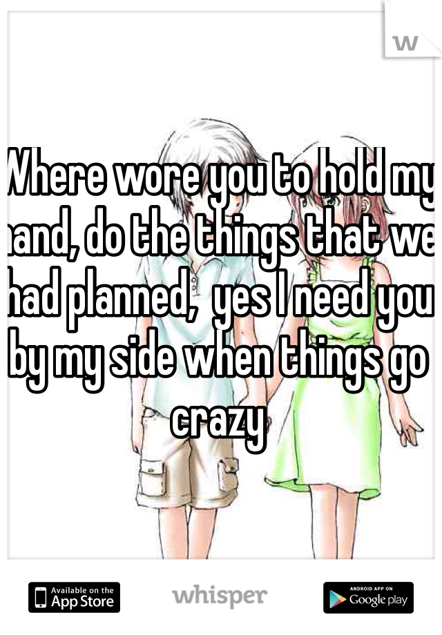 Where wore you to hold my hand, do the things that we had planned,  yes I need you by my side when things go crazy