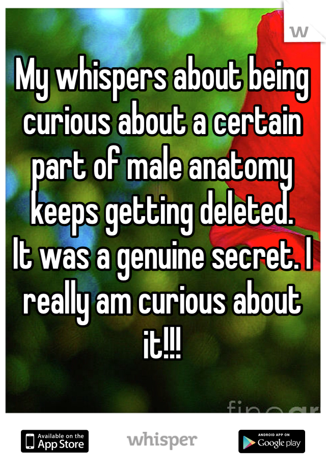 My whispers about being curious about a certain part of male anatomy keeps getting deleted. 
It was a genuine secret. I really am curious about it!!!