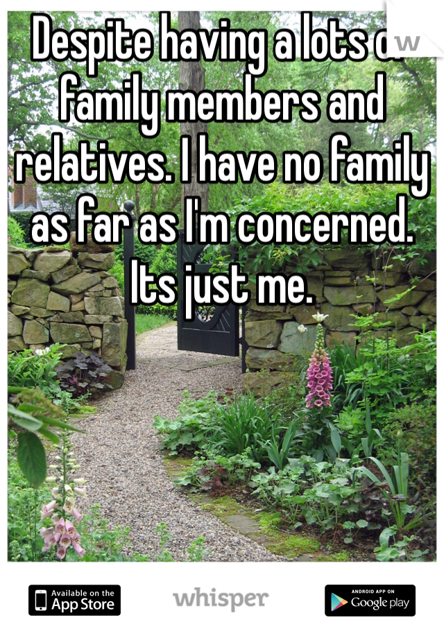 Despite having a lots of family members and relatives. I have no family as far as I'm concerned. Its just me. 