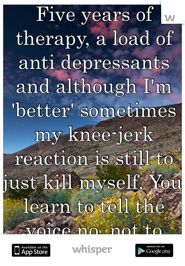 Five years of therapy, a load of anti depressants and although I'm 'better' sometimes my knee-jerk reaction is still to just kill myself. You learn to tell the voice no, not to make it go away. 