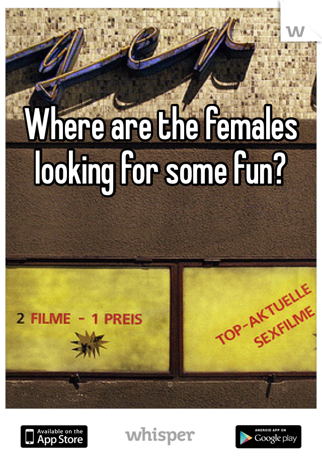 Where are the females looking for some fun? 