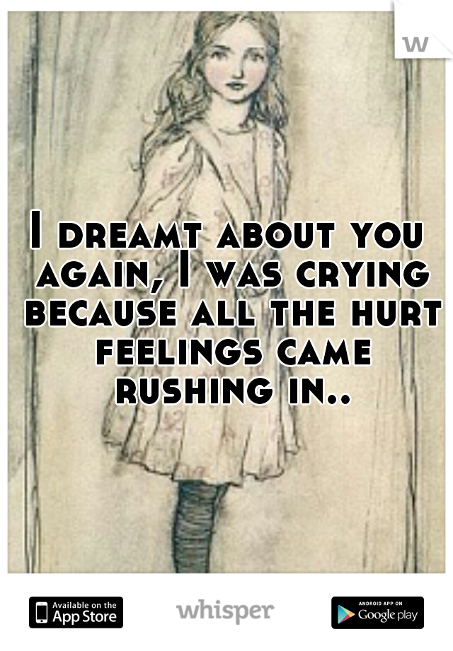 I dreamt about you again, I was crying because all the hurt feelings came rushing in..