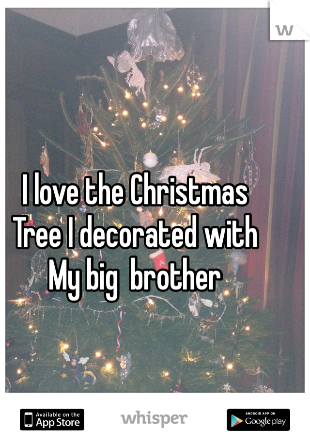 I love the Christmas 
Tree I decorated with 
My big  brother 