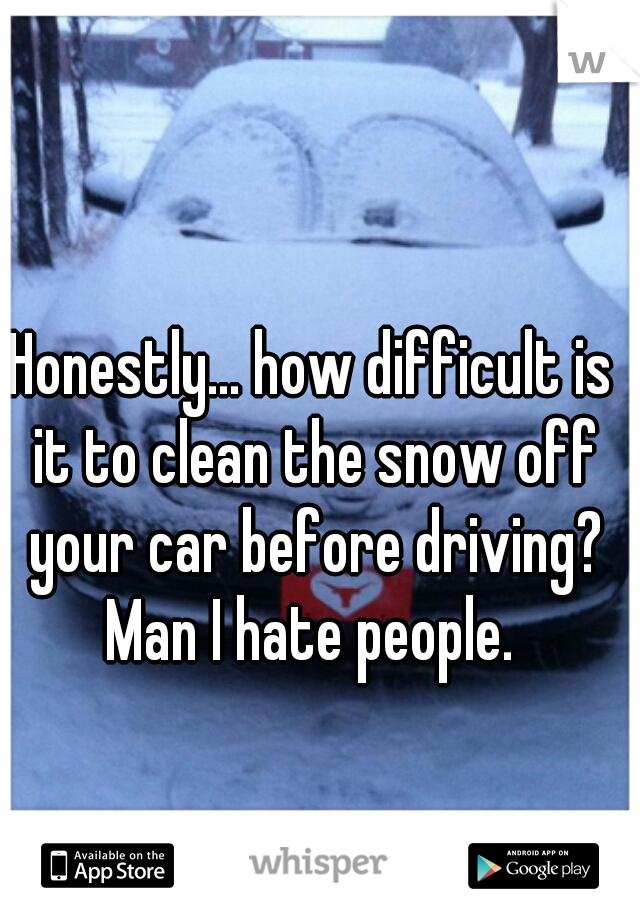 Honestly... how difficult is it to clean the snow off your car before driving?
Man I hate people.
