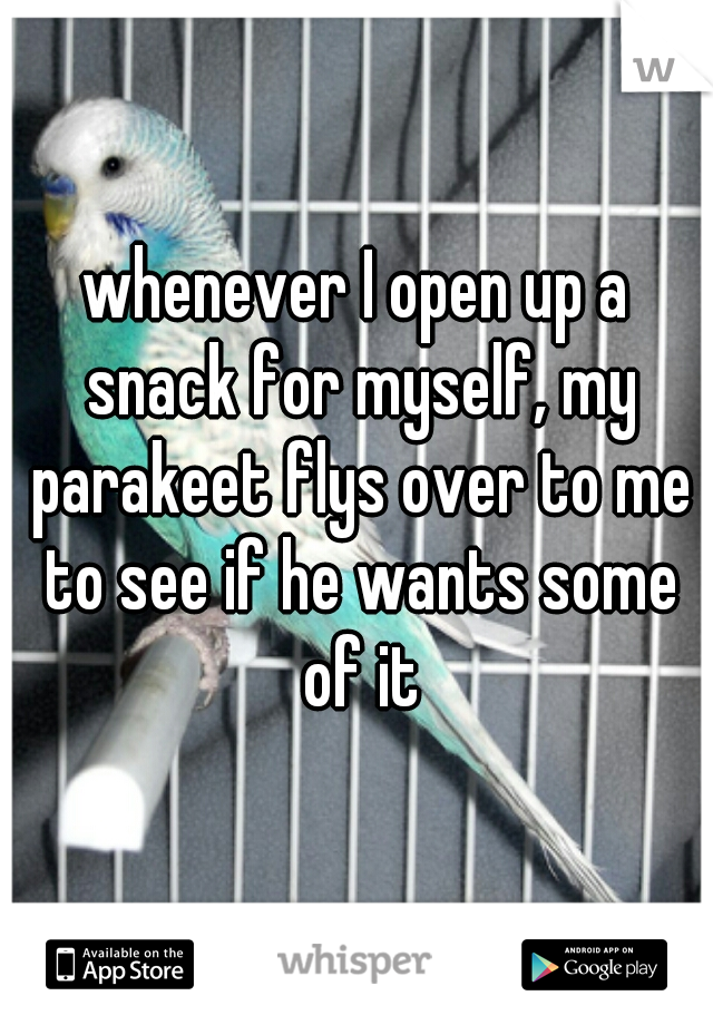 whenever I open up a snack for myself, my parakeet flys over to me to see if he wants some of it