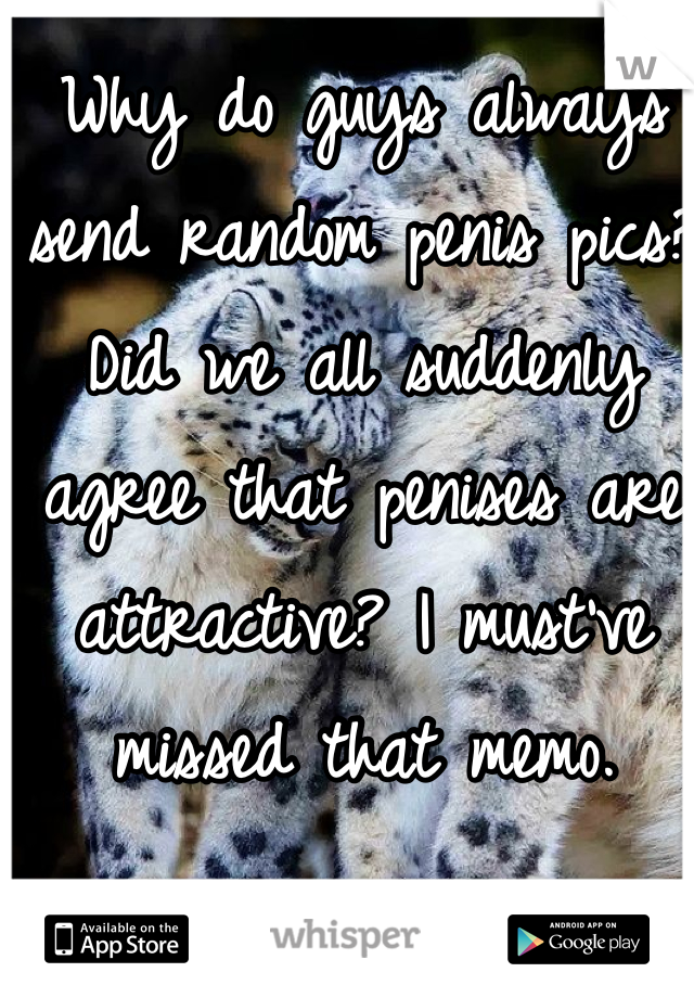 Why do guys always send random penis pics? Did we all suddenly agree that penises are attractive? I must've missed that memo. 