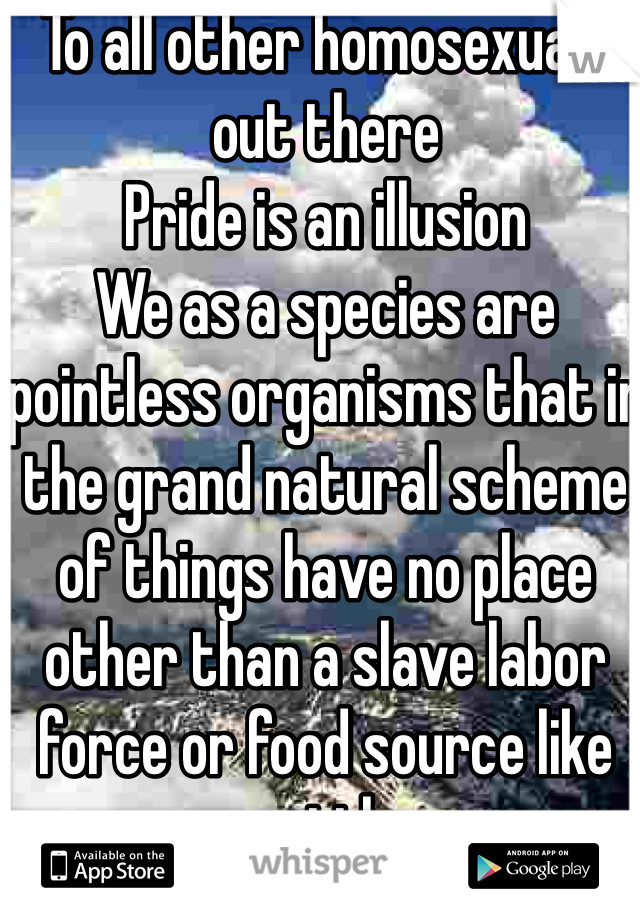 To all other homosexuals out there 
Pride is an illusion
We as a species are pointless organisms that in the grand natural scheme of things have no place other than a slave labor force or food source like cattle