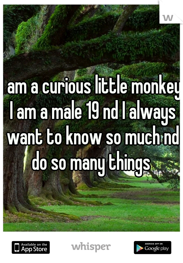 I am a curious little monkey I am a male 19 nd I always want to know so much nd do so many things 