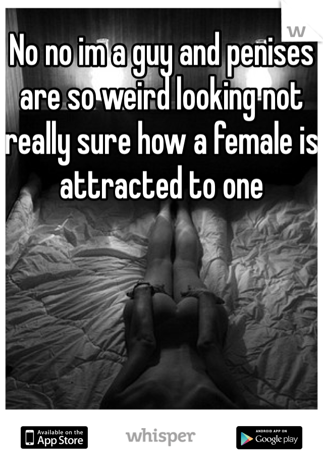 No no im a guy and penises are so weird looking not really sure how a female is attracted to one