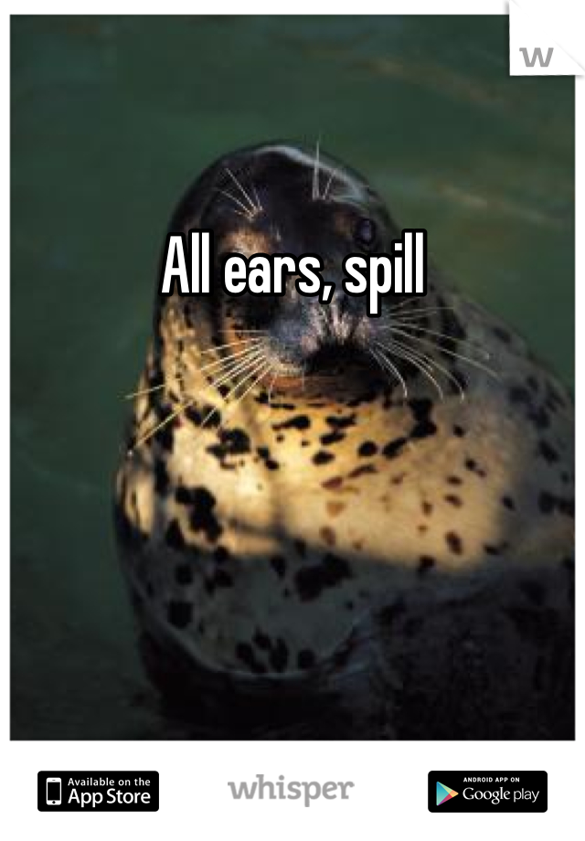 All ears, spill