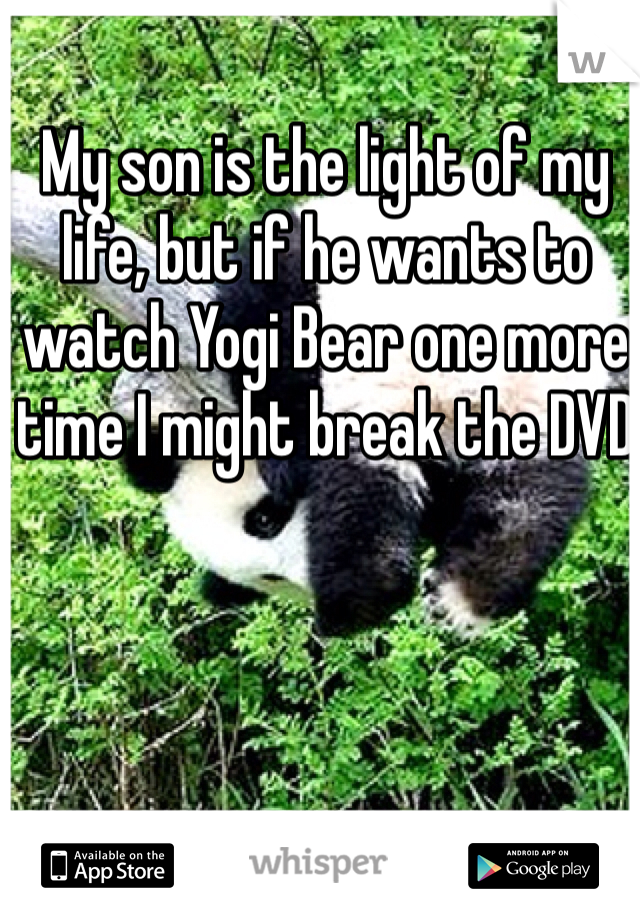 My son is the light of my life, but if he wants to watch Yogi Bear one more time I might break the DVD 