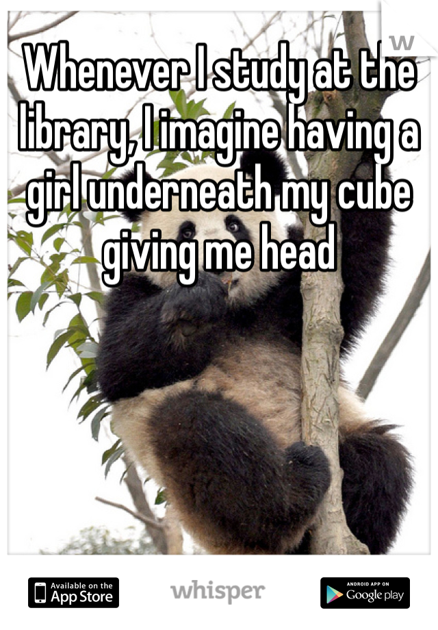 Whenever I study at the library, I imagine having a girl underneath my cube giving me head