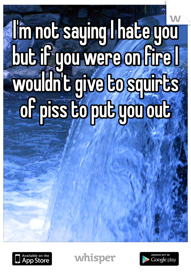 I'm not saying I hate you but if you were on fire I wouldn't give to squirts of piss to put you out 