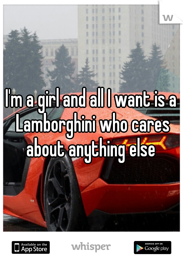 I'm a girl and all I want is a Lamborghini who cares about anything else 