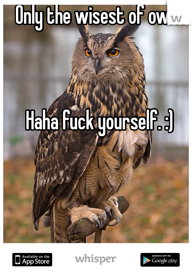 Only the wisest of owls. 



Haha fuck yourself. :)