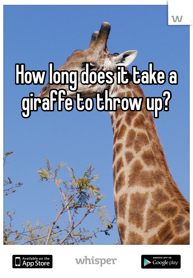 How long does it take a giraffe to throw up?