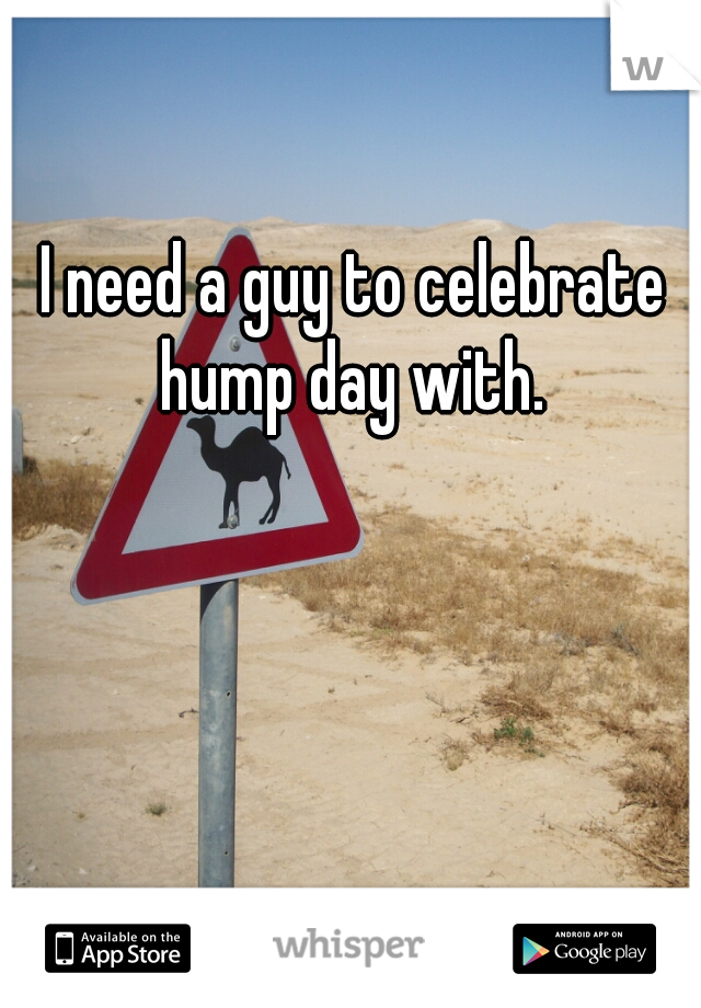 I need a guy to celebrate hump day with. 