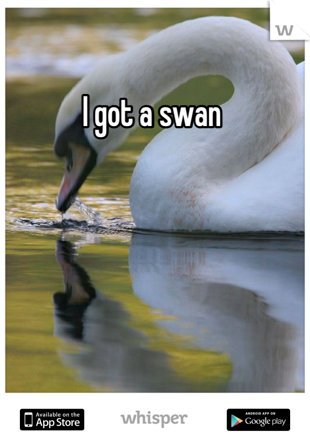 I got a swan 
