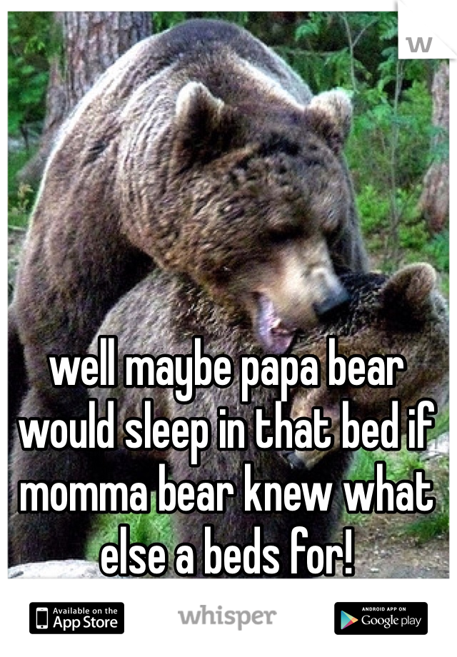 well maybe papa bear would sleep in that bed if momma bear knew what else a beds for! 