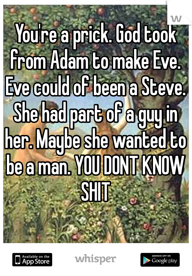 You're a prick. God took from Adam to make Eve. Eve could of been a Steve. She had part of a guy in her. Maybe she wanted to be a man. YOU DONT KNOW SHIT