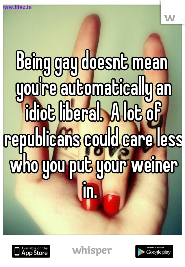 Being gay doesnt mean you're automatically an idiot liberal.  A lot of republicans could care less who you put your weiner in.  