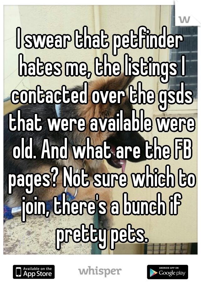 I swear that petfinder hates me, the listings I contacted over the gsds that were available were old. And what are the FB pages? Not sure which to join, there's a bunch if pretty pets.