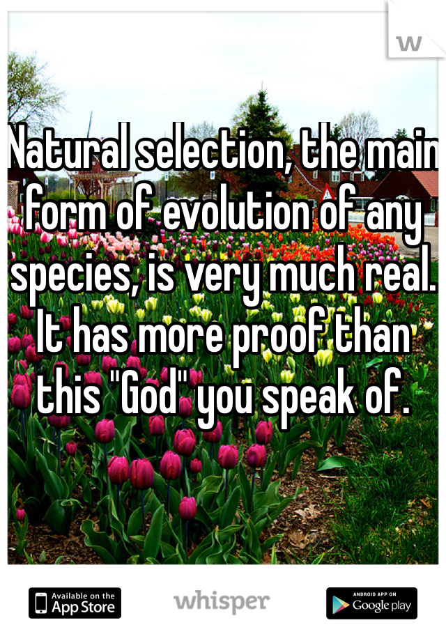 Natural selection, the main form of evolution of any species, is very much real. It has more proof than this "God" you speak of.