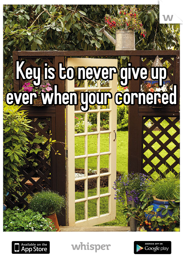 Key is to never give up ever when your cornered 