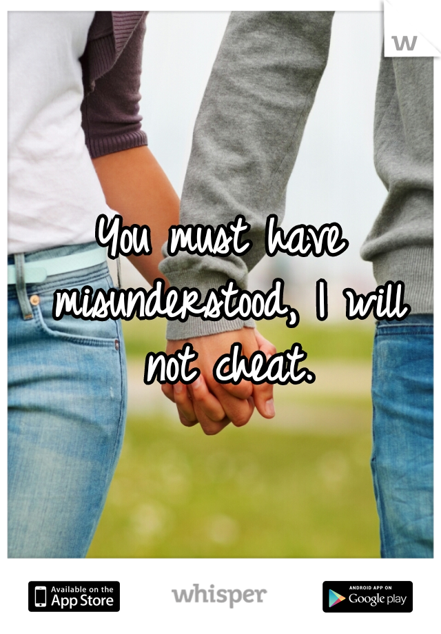 You must have misunderstood, I will not cheat.