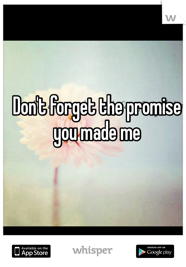 Don't forget the promise you made me 