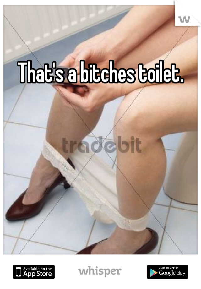 That's a bitches toilet. 