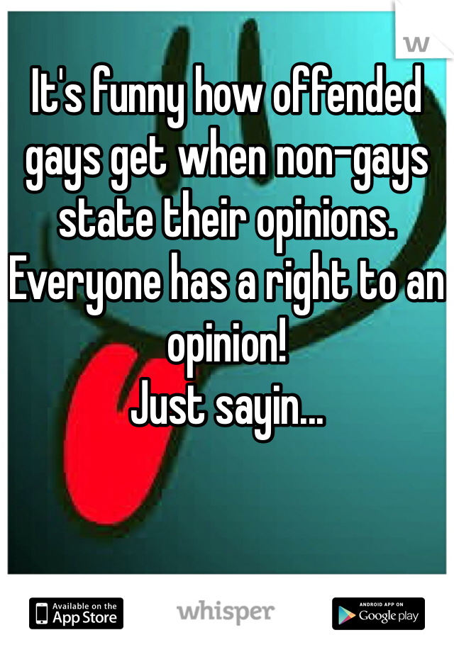 
It's funny how offended gays get when non-gays state their opinions.
Everyone has a right to an opinion!
Just sayin...