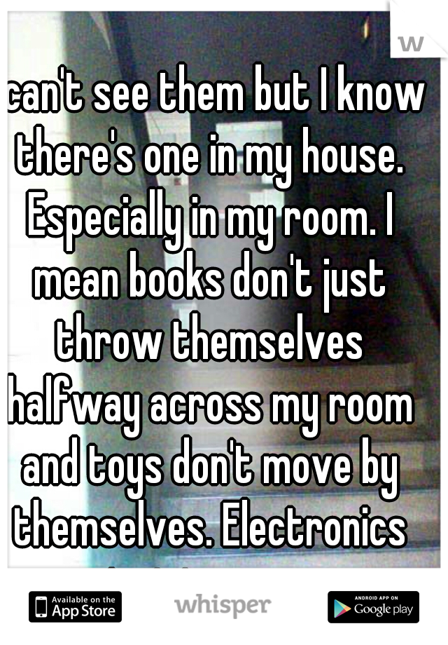 I can't see them but I know there's one in my house. Especially in my room. I mean books don't just throw themselves halfway across my room and toys don't move by themselves. Electronics just turn on 