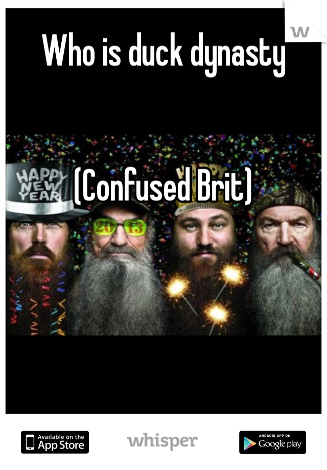 Who is duck dynasty 


(Confused Brit)