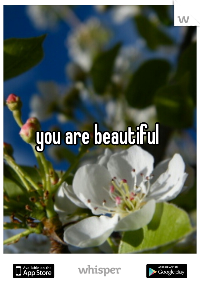 you are beautiful 