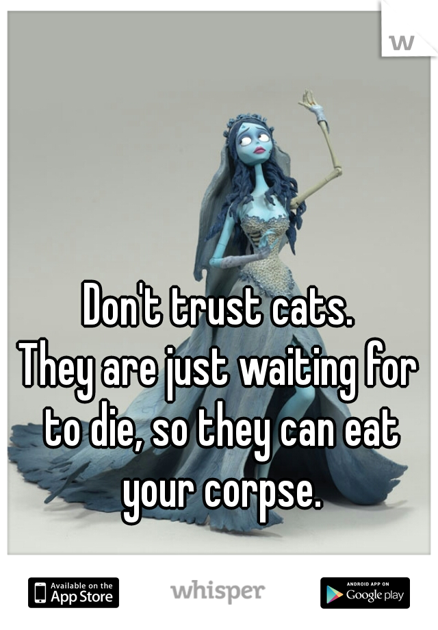 Don't trust cats.
They are just waiting for to die, so they can eat your corpse.